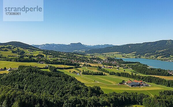 Drohnenaufnahme  Agrarlandschaft  Zell am Moos am Irrsee  Salzkammergut  Oberösterreich  Österreich  Europa