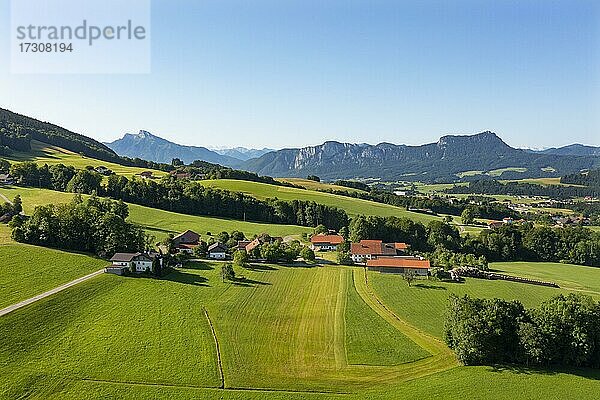 Drohnenaufnahme  Agrarlandschaft im Mondseeland  Salzkammergut  Oberösterreich  Österreich  Europa