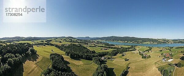 Drohnenaufnahme  Agrarlandschaft  Zell am Moos am Irrsee  Salzkammergut  Oberösterreich  Österreich  Europa