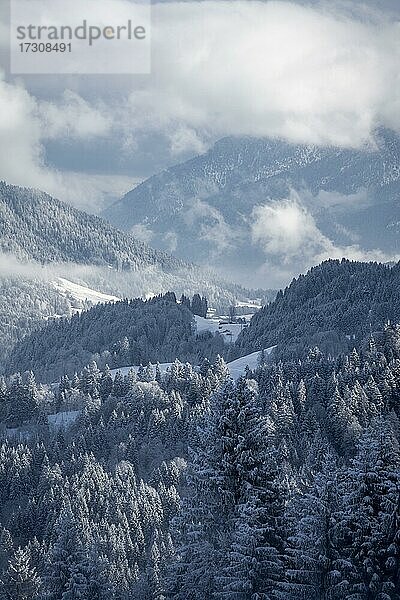 Winter  Verschneite Landschaft im Wettersteingebirge  Garmisch-Partenkirchen  Bayern  Deutschland  Europa