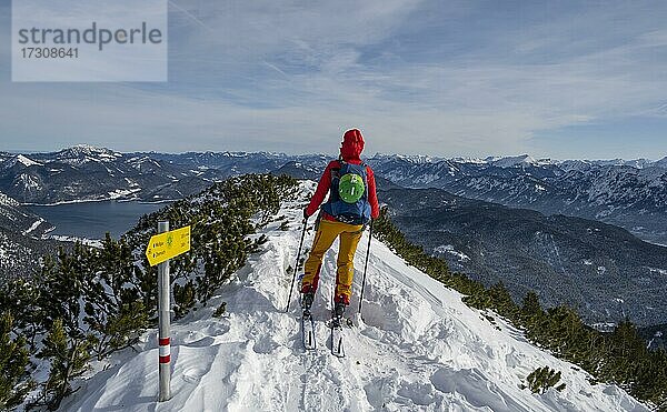 Junge Frau auf Skitour  Am Gipfel des Simetsberg  Estergebirge  Bayerische Voralpen  Bayern  Deutschland  Europa