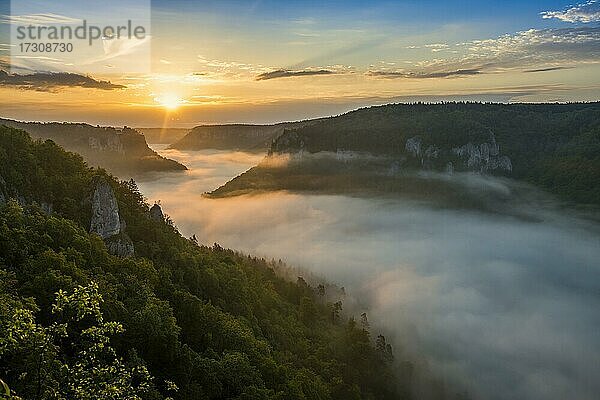 Ausblick vom Eichfelsen auf Schloss Werenwag mit Morgennebel  Sonnenaufgang  bei Irndorf  Naturpark Obere Donau  Oberes Donautal  Donau  Schwäbische Alb  Baden-Württemberg  Deutschland  Europa