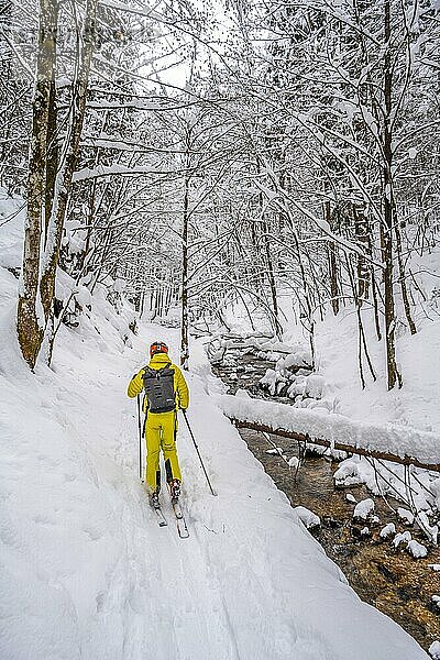 Skitourengeher  Junge Mann auf Skitour zum Taubenstein  Mangfallgebirge  Bayerische Voralpen  Oberbayern  Bayern  Deutschland  Europa