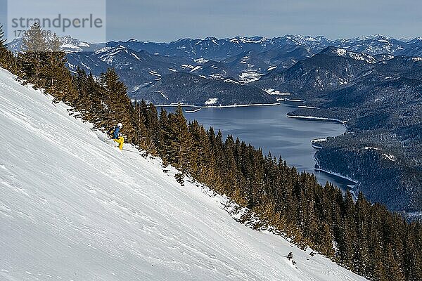 Skifahrer führt steilen Hang hinunter  Skitour  Abfahrt vom Simetsberg  Blick auf den Walchensee  Estergebirge  Bayerische Voralpen  Bayern  Deutschland  Europa