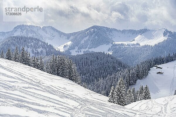 Verschneite Berge im Winter  Blick auf den Roßkopf  Mangfallgebirge  Bayerische Voralpen  Oberbayern  Bayern  Deutschland  Europa