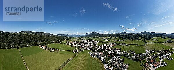 Drohnenaufnahme  Thalgau  Flachgau  Land Salzburg  Österreich  Europa