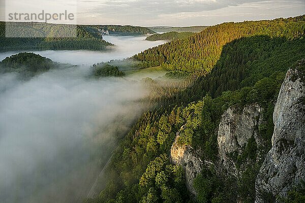 Ausblick vom Eichfelsen mit Morgennebel  Sonnenaufgang  bei Irndorf  Naturpark Obere Donau  Oberes Donautal  Donau  Schwäbische Alb  Baden-Württemberg  Deutschland  Europa