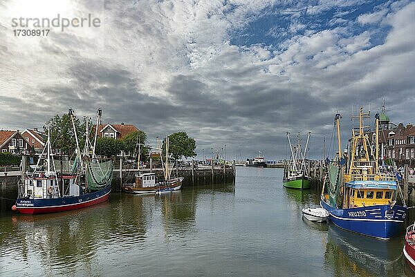 Krabbenkutter im Fischereihafen  Neuharlingersiel  Niedersachsen  Deutschland  Europa