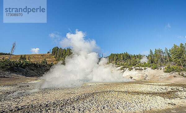 Dampfende heiße Quelle  Black Dragon's Caldron  Yellowstone National Park  Wyoming  USA  Nordamerika