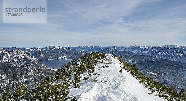 Gipfel des Simetsberg  links Walchensee  Estergebirge  Bayerische Voralpen  Bayern  Deutschland  Europa