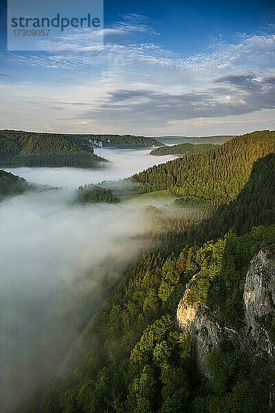 Ausblick vom Eichfelsen mit Morgennebel  Sonnenaufgang  bei Irndorf  Naturpark Obere Donau  Oberes Donautal  Donau  Schwäbische Alb  Baden-Württemberg  Deutschland  Europa