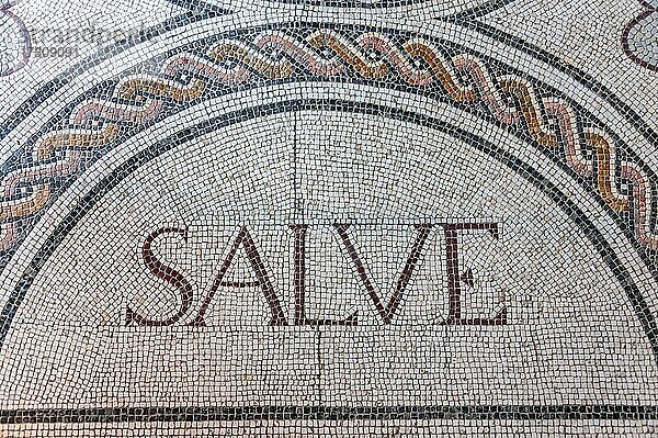 Schriftzug Salve  römisches Mosaik  Innenhof  Palacio de la Condesa de Lebrija  Sevilla  Andalusien  Spanien  Europa
