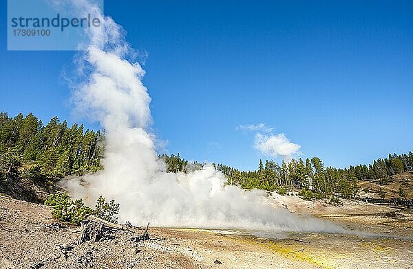 Dampfende heiße Quelle  Black Dragon's Caldron  Yellowstone National Park  Wyoming  USA  Nordamerika