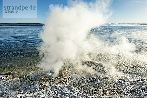 Dampfende Fumarole am See mit Morgensonne  Lakeshore Geysir  West Thumb Geyser Basin  Yellowstone Lake  Yellowstone National Park  Wyoming  USA  Nordamerika