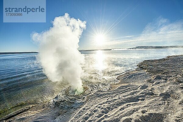 Dampfende Fumarole am See mit Morgensonne  Lakeshore Geysir  West Thumb Geyser Basin  Yellowstone Lake  Yellowstone National Park  Wyoming  USA  Nordamerika