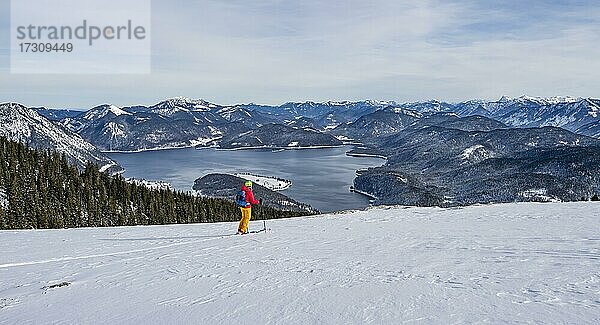 Junge Frau auf Skitour  Abfahrt vom Simetsberg  Blick auf den Walchensee  Estergebirge  Bayerische Voralpen  Bayern  Deutschland  Europa