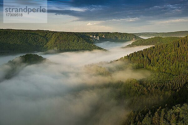 Ausblick vom Eichfelsen mit Morgennebel  Sonnenaufgang  bei Irndorf  Naturpark Obere Donau  Oberes Donautal  Donau  Schwäbische Alb  Baden-Württemberg  Deutschland  Europa