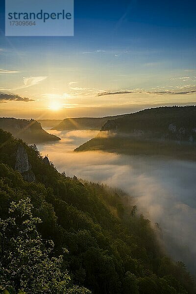 Ausblick vom Eichfelsen auf Schloss Werenwag mit Morgennebel  Sonnenaufgang  bei Irndorf  Naturpark Obere Donau  Oberes Donautal  Donau  Schwäbische Alb  Baden-Württemberg  Deutschland  Europa