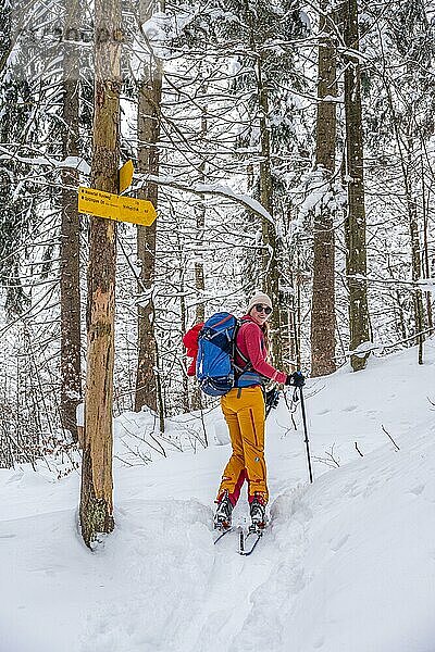 Skitourengeher  Junge Frau auf Skitour zum Taubenstein  Mangfallgebirge  Bayerische Voralpen  Oberbayern  Bayern  Deutschland  Europa