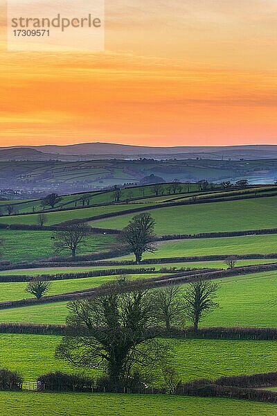 Sonnenuntergang auf den Feldern  Berry Pomeroy Village  Devon  England  Vereinigtes Königreich