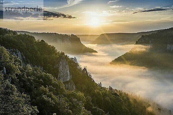 Ausblick vom Eichfelsen auf Schloss Werenwag mit Morgennebel  Sonnenaufgang  bei Irndorf  Naturpark Obere Donau  Oberes Donautal  Donau  Schwäbische Alb  Baden-Württemberg  Deutschland  Europa