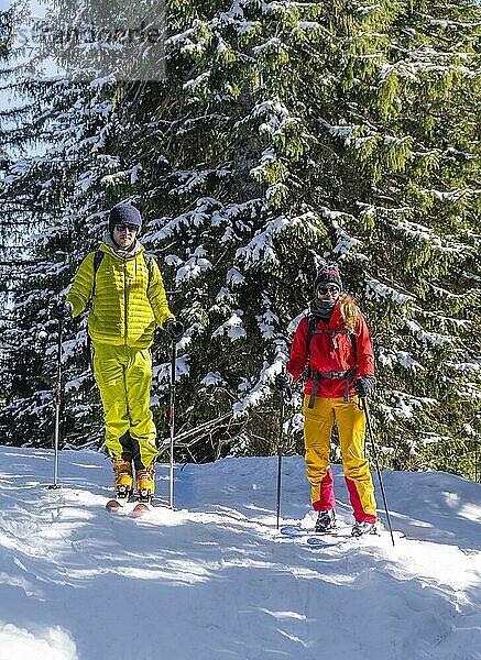 Skitourengeher  Junge Frau und Mann auf Skitour zum Roßkopf  Mangfallgebirge  Bayerische Voralpen  Oberbayern  Bayern  Deutschland  Europa