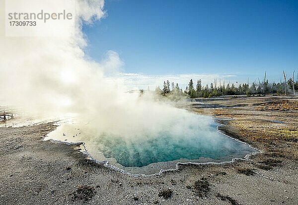 Dampfende heiße Quelle mit türkisem Wasser in der Morgensonne  Black Pool  West Thumb Geyser Basin  Yellowstone National Park  Wyoming  USA  Nordamerika