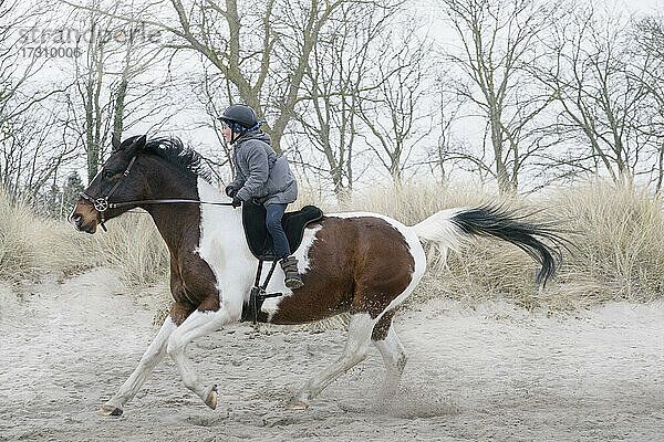 Mädchen reitet galoppierendes Pferd in Sand