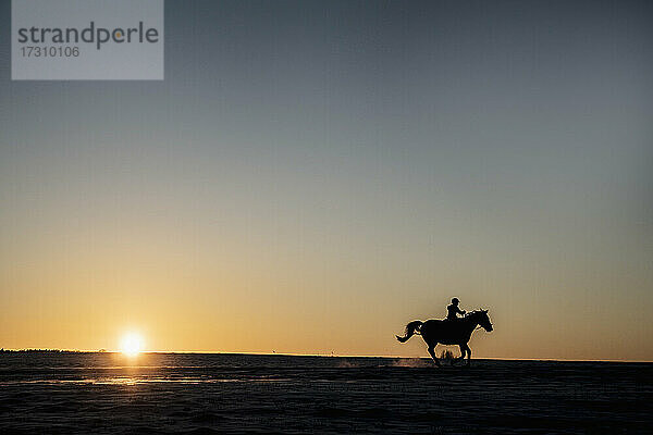 Silhouette Mädchen reitet Pferd in Sonnenuntergang Feld