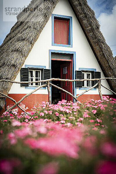 Traditionelles reetgedecktes Haus in den blühenden Wiesen  Santana  Insel Madeira  Portugal  Atlantik  Europa