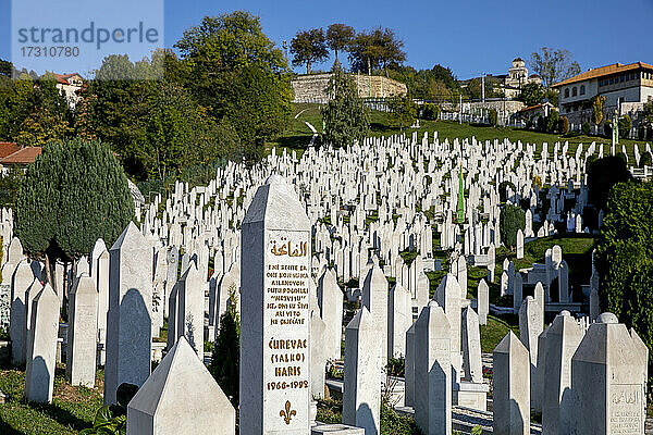Märtyrer-Gedenkfriedhof Kovaci  der Hauptfriedhof für Soldaten der bosnischen Armee  Stari Grad  Sarajevo  Bosnien  Europa