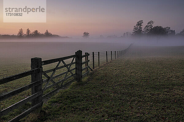 Mit Nebel gefülltes Feld bei Sonnenuntergang  Chelford  Cheshire  England  Vereinigtes Königreich  Europa