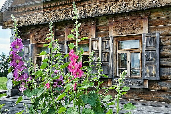 Museum für Holzarchitektur  Suzdal  Vladimir oblast  Russland  Europa