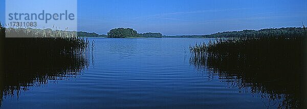 Panoramablick am Prüßniksee  Brandenburg  Deutschland  Europa