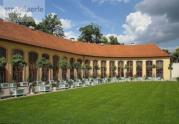 Orangerie  Schlosspark Belvedere  Weimar  Thüringen  Deutschland  Europa