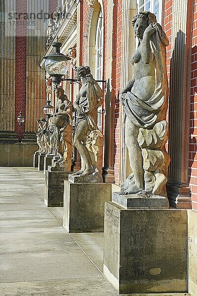 Reihe von Statuen  Neues Palais  Schlosspark Sanssouci  Potsdam  Brandenburg  Deutschland  Europa