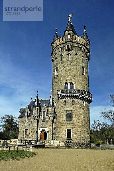 Flatowturm  Schlosspark Babelsberg  Potsdam  Brandenburg  Deutschland  Europa