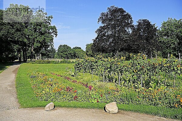 Blick in den Schlosspark Sanssouci  Potsdam  Brandenburg  Deutschland  Europa