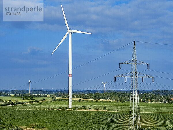 Windräder und Strommasten am Rundlingsdorf Gistenbeck  Gemeinde Clenze  Landkreis Lüchow-Dannenberg  Wendland  Niedersachsen  Deutschland  Europa