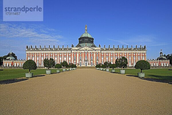 Neues Palais  Schlosspark Sanssouci  Potsdam  Brandenburg  Deutschland  Europa