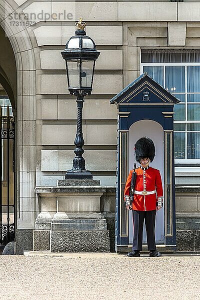 Wache vor Wachhäuschen  Wachmann der königlichen Garde mit Bärenfellmütze  Buckingham Palast  London  England  Großbritannien  Europa