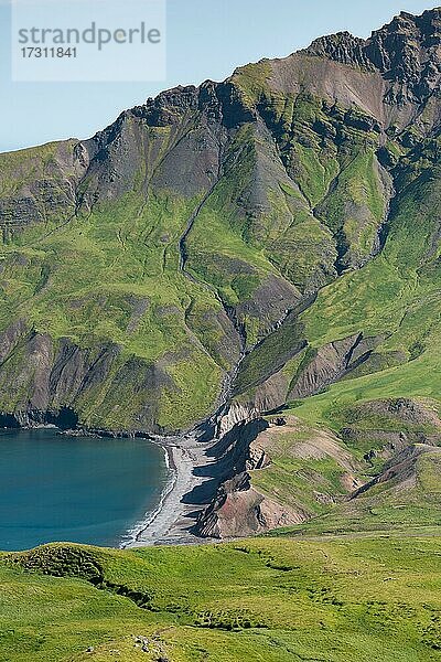 Brúnavík  Víknaslódir  Island  Europa