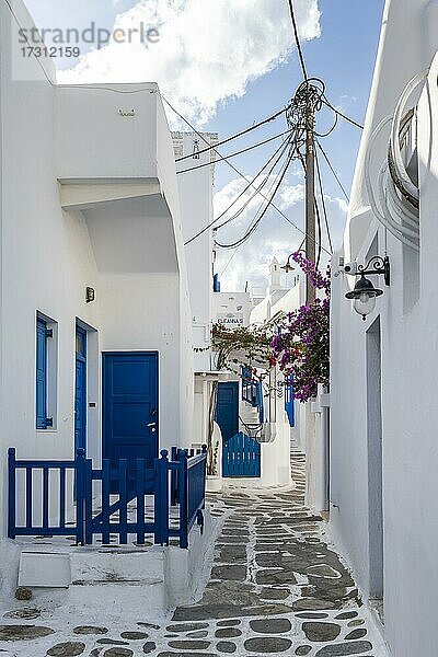 Kykladische weiße Häuser mit blauen Fensterläden  Altstadt Chora  Mykonos Stadt  Mykonos  Kykladen  Griechenland  Europa