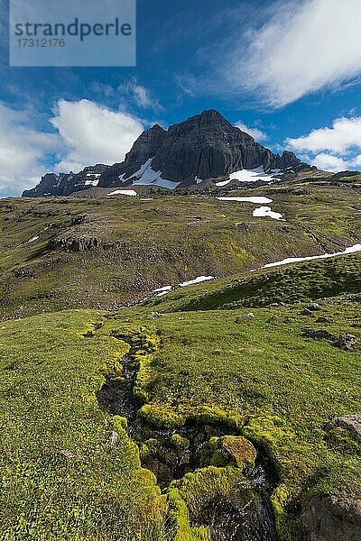 Grünes Quellmoos (Fontinalis antipyretica)  Bachlauf  Dyrfjöll  Island  Europa