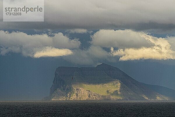 Kap Enniberg  mit 754 Metern eines der höchsten senkrechten Kliffs der Welt  Viðoy  Djúpini  Norðuroyggjar  Färöer-Inseln  Dänemark  Europa