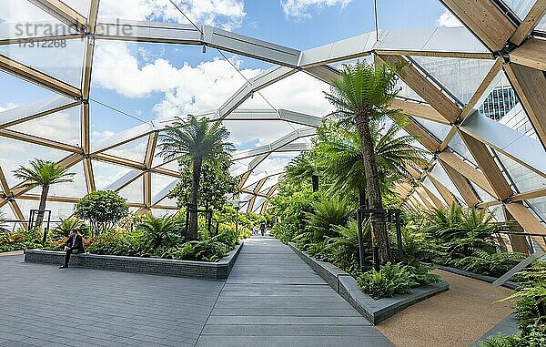 Moderne Architektur  mit Palmen und Farnen bepflanztes Gebäude  Crossrail Place  Canary Wharf  London  England  Großbritannien  Europa