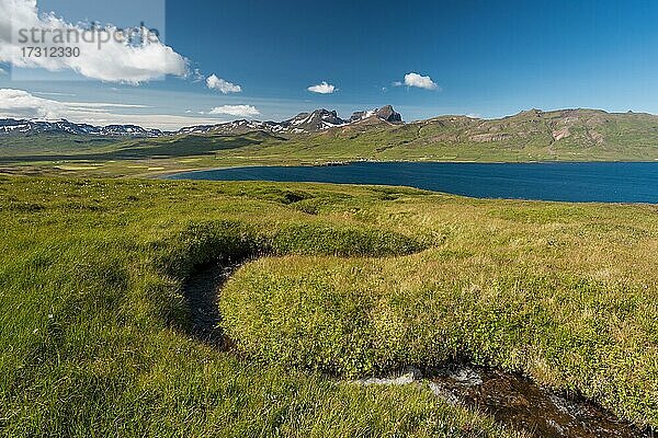 Bachlauf  Borgarfjörður  Island  Europa