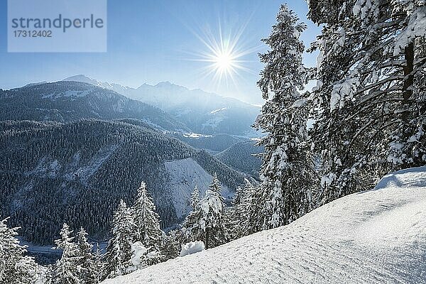 Ruinaulta oder Rheinschlucht  winterliche Landschaft  Vorderrhein  Flims  Kanton Graubünden  Schweiz  Europa
