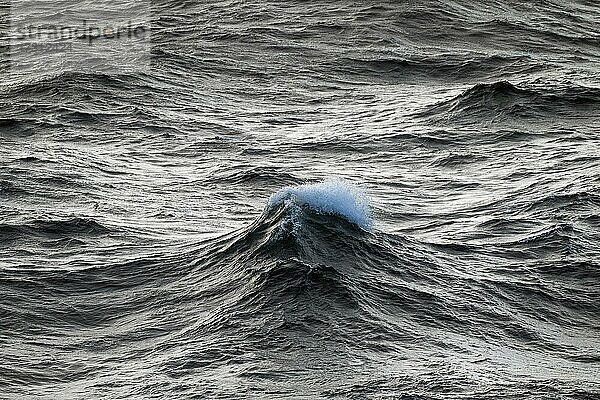 Einzelne Welle mit Gischt auf hoher See  Nordsee