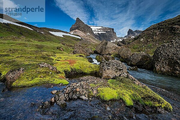 Grünes Quellmoos (Fontinalis antipyretica)  Bachlauf  Bergsturz Stórurð im Dyrfjöll  Island  Europa